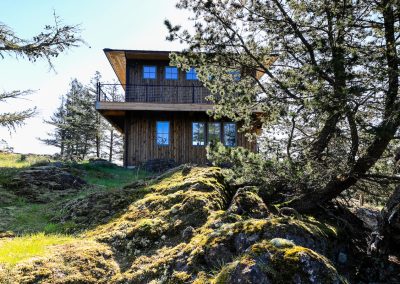 vertical wooden siding house